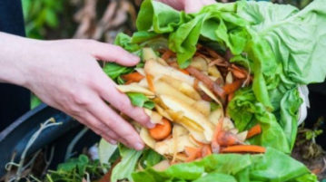 Bucce di pomodori, gusci di bivalvi scarti legnosi o di caffè diventano lampade, piastrelle e oggetti tra i più disparati per Re-FOOD, la competizione per designer capaci di reinventare gli scarti agroalimentari