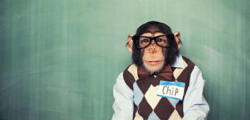 Lo scimpanzè è l’animale più intelligente della terra…