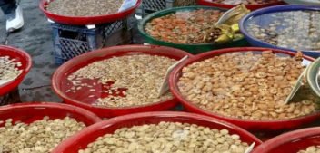 Epatite A a Napoli, Legacoop: “No ad allarmismi sul settore ittico, in tanti rischiano il lavoro”